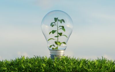 Ecobonus 50%: fare efficienza per essere efficienti